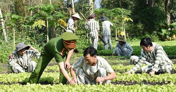 Người chấp hành xong án phạt tù được vay vốn tín dụng, tuy nhiên, sẽ bị giới hạn mức vốn cho vay